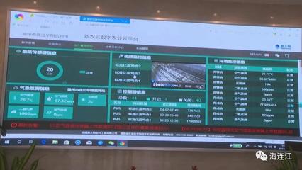 智慧治理新篇章 县委领导一日四乡镇调研，数字监控系统销售成焦点